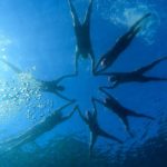 Liveaboard-Swim-Cruise-Turkey