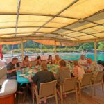 Swim-Cruise-Meal-Time