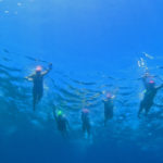 Swim-Cruise-Turkey
