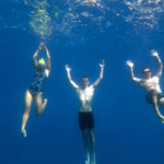 Swimming-Cruise-Trip