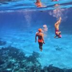Cozumel Swim Diving