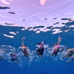 Cozumel Swim Group Together