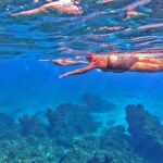 Cozumel Swimming Group