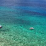 Cozumel Swimming Tours