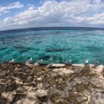 Ocean Swim Cozumel