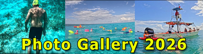Swimming Vacation Cozumel Mexico Photos